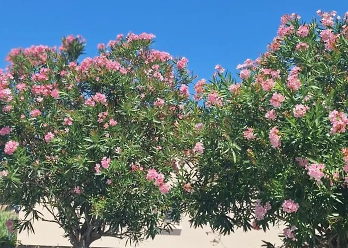 Prázdninový dům Duplex Piscine Calme *